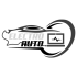 electro auto